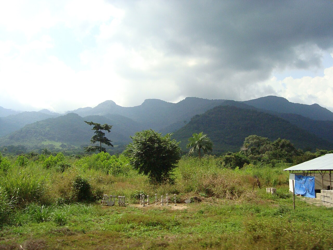 Important Documents Needed Before Buying Land in Sierra Leone
