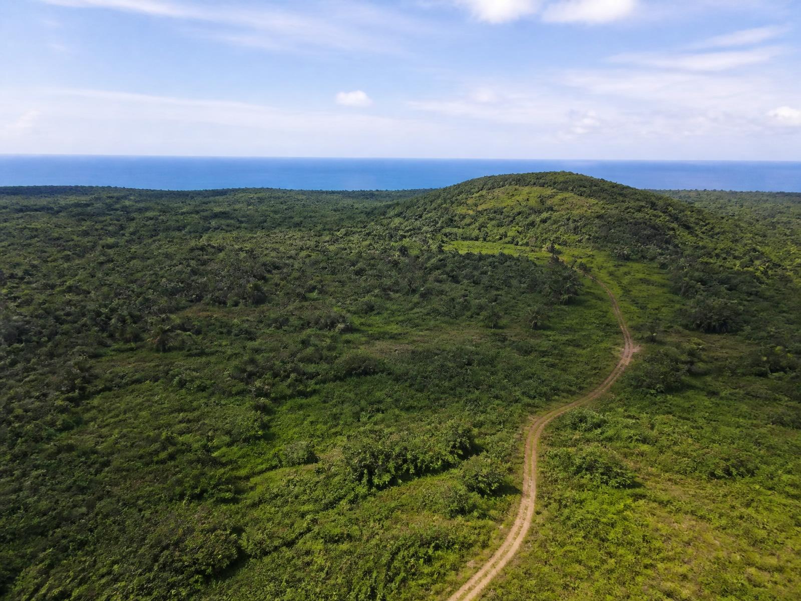 Important Documents Needed Before Buying Land